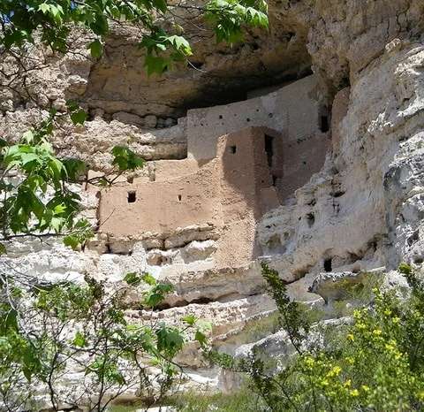 Zonovergoten close-up van de meerlaagse kleibouwwerken van Montezuma Castle in de rotswand met bladeren en gele bloemen op de voorgrond