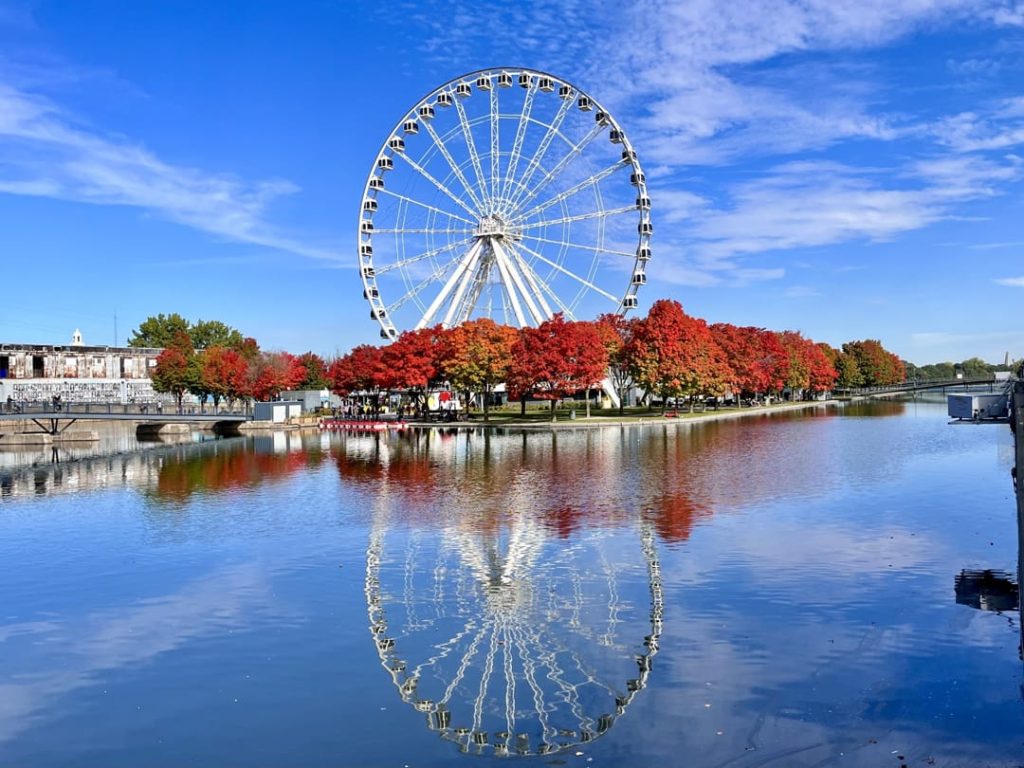 Luchtfoto van de bolvormige Biosphère in een herfstbos aan de rivier, met de skyline van Montreal op de achtergrond