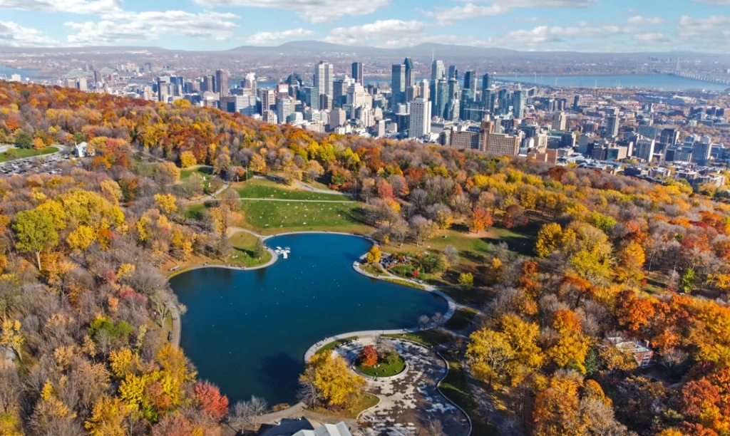 Luchtfoto van een meer omringd door herfstbos op de berg Mont Royal met de skyline van Montréal op de achtergrond