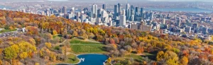 Luchtfoto van een uitgestrekt herfstpark met een vijver, wandelaars en de wolkenkrabbers van Montreal op de achtergrond