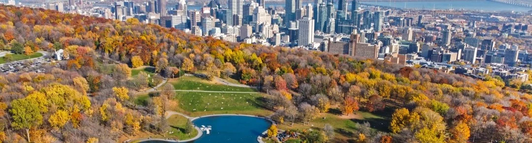 Luchtfoto van een park met een meer op de berg Mont Royal met de skyline van Montréal op de achtergrond