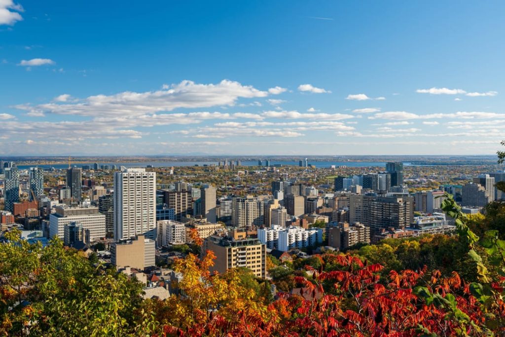 Panoramisch uitzicht over de wolkenkrabbers en woonwijken van Montreal, gezien vanaf de uitkijk op Mont Royal met herfstbladeren op de voorgrond