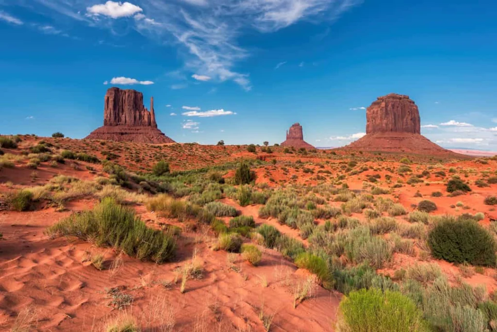 Twee hoge rode rotsformaties, bekend als de Mittens, steken op boven een vlakte met struiken in Monument Valley