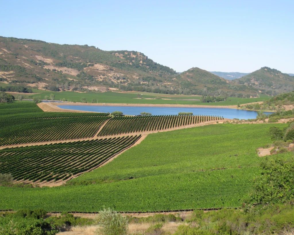 Rijen wijnstokken lopen naar een klein blauw meer met glooiende, deels beboste heuvels op de achtergrond in Napa Valley