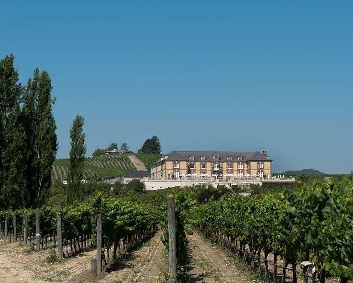 Een groot statig gebouw met torentjes staat tussen rijen wijnranken onder een strakblauwe hemel in Napa Valley