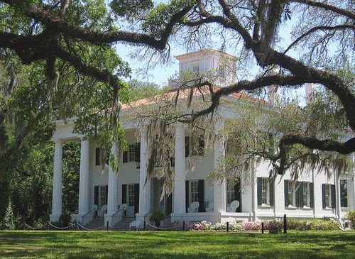 Witte villa met een zuilengalerij en een klein torentje gezien tussen takken vol Spaans mos in Natchez