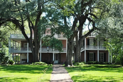 Roze villa met witte zuilen en dubbele veranda's tussen grote eikenbomen met een pad ervoor in Natchez