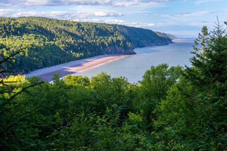 Een brede baai met roodbruin zand ligt tussen dicht beboste heuvels, gezien vanaf een hoog punt in New Brunswick