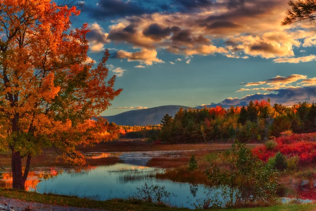 Oranje en rode herfstbomen aan de oever van een rustig meer met bergen op de achtergrond in New England