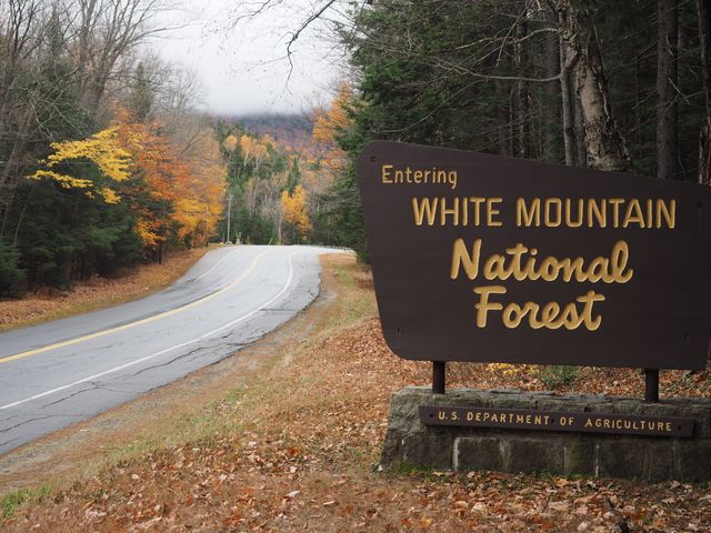 Bruin houten bord met de tekst Entering White Mountain National Forest langs een bochtige weg met herfstbladeren in New Hampshire