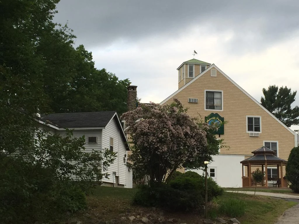 Geel houten schuurgebouw met een torentje en een groen uithangbord achter een bloeiende sering in New Hampshire