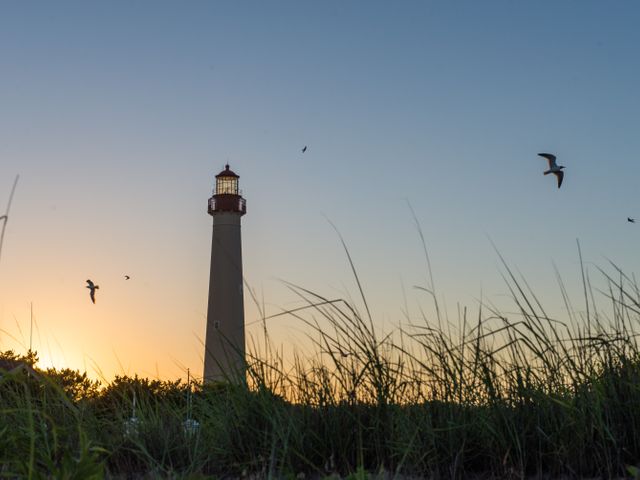 Silhouet van een vuurtoren bij zonsondergang met vliegende meeuwen en hoog duingras op de voorgrond aan de kust van New Jersey