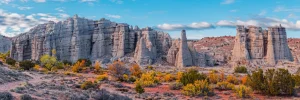 New Mexico