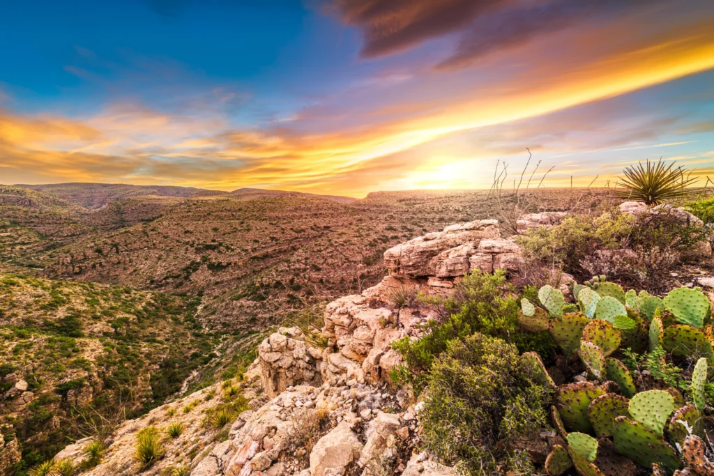 Weids uitzicht over een droge canyon met cactussen en struiken op de rotsen op de voorgrond onder een gekleurde avondlucht