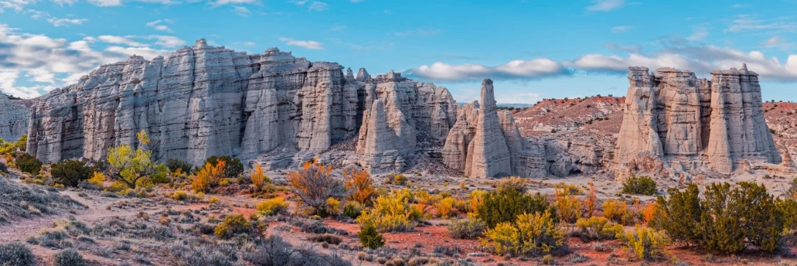 New Mexico