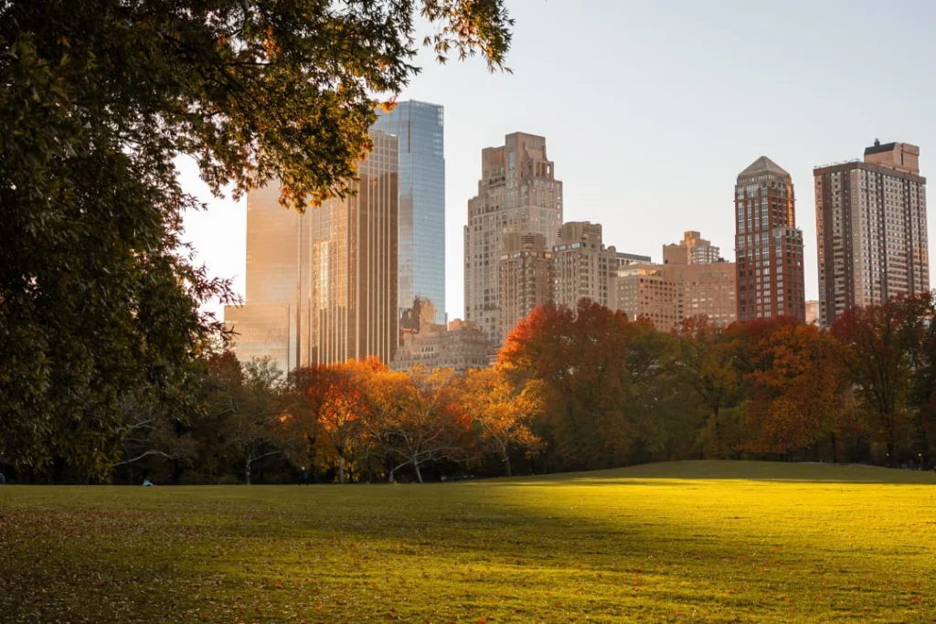 Grasveld in Central Park omzoomd door bomen in herfstkleuren met wolkenkrabbers die oplichten in het late namiddaglicht