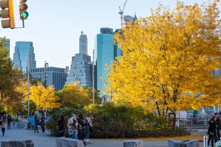 Feloranje herfstbladeren aan bomen langs een wandelpad in New York met wolkenkrabbers van de stad op de achtergrond