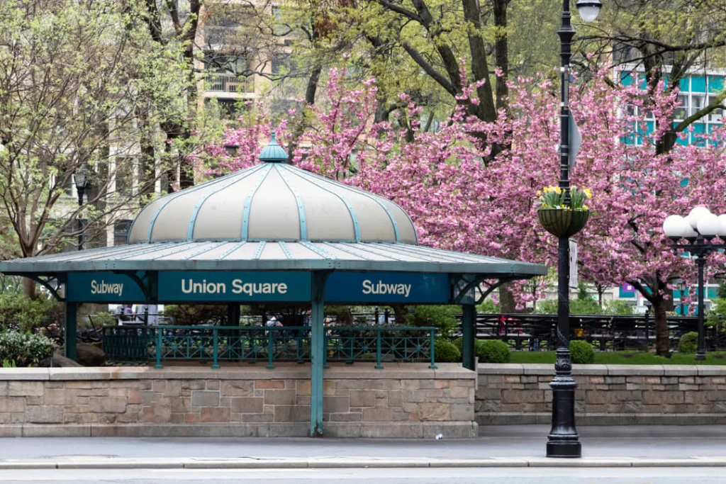 Koepelvormige metro-ingang met het opschrift Union Square Subway, omringd door roze bloesembomen en groen in New York