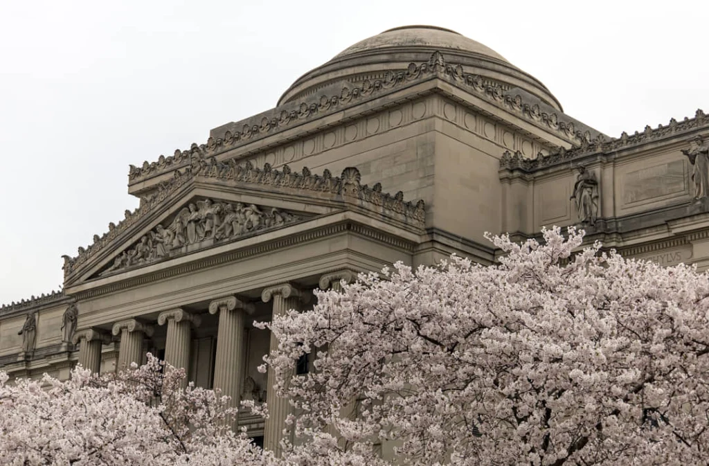 Klassiek museumgebouw met een grote koepel en zuilen achter bloeiende roze kersenbloesembomen