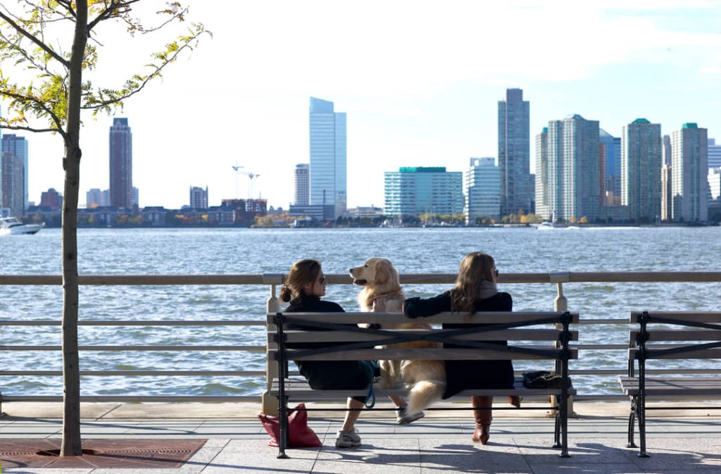 Twee vrouwen met een golden retriever zitten op een bankje aan de rivier de Hudson met de skyline van Jersey City ertegenover