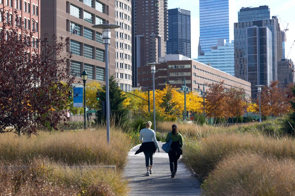Twee wandelaars lopen over een pad tussen herfstplanten en bomen met wolkenkrabbers van Manhattan op de achtergrond