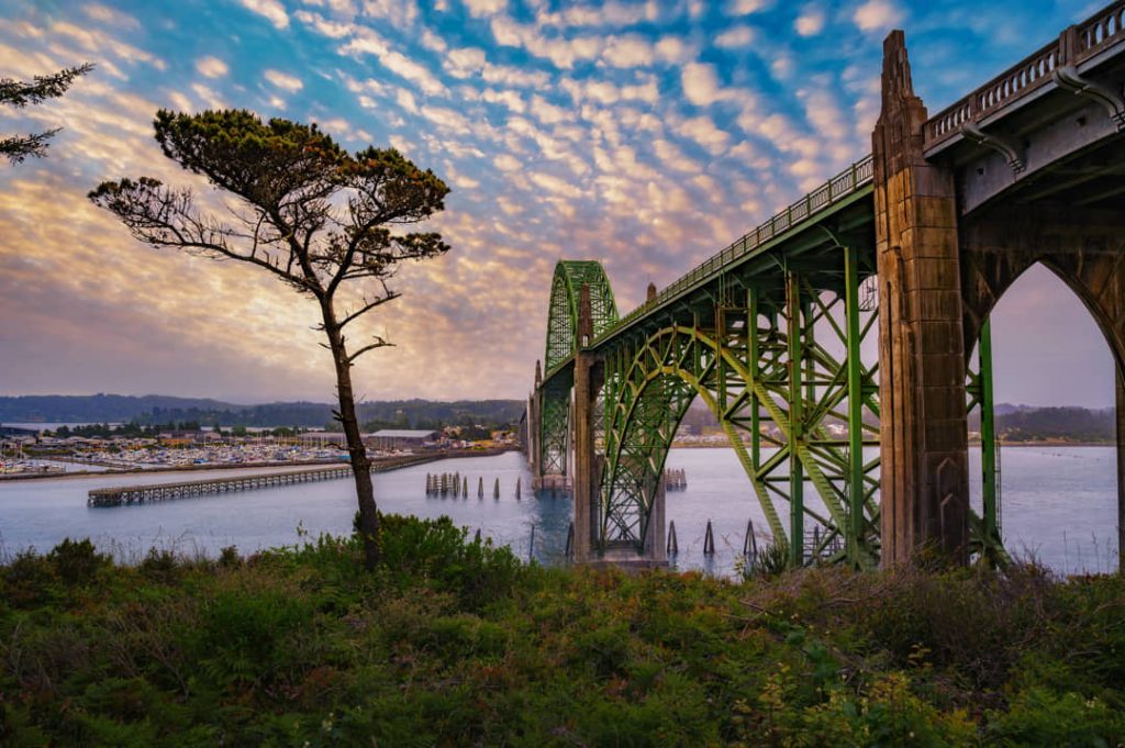 Groene stalen boogbrug Yaquina Bay Bridge over de baai met een jachthaven en een pijnboom op de voorgrond bij zonsondergang in Newport