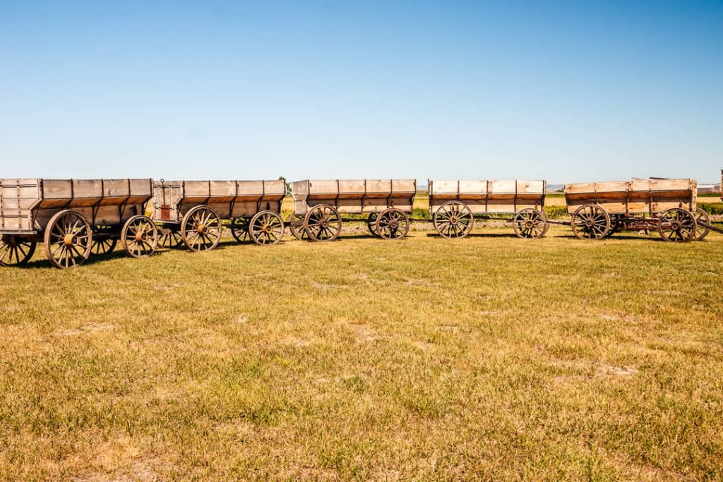 Een lange rij verweerde houten huifkarren met houten wielen op een gemaaid grasveld onder een strakblauwe lucht