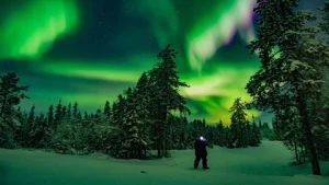 Persoon kijkt omhoog naar groen en paars noorderlicht boven een besneeuwd bos vol dennenbomen in de Northwest Territories