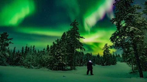 Persoon kijkt omhoog naar groen en paars noorderlicht boven een besneeuwd bos vol dennenbomen in de Northwest Territories