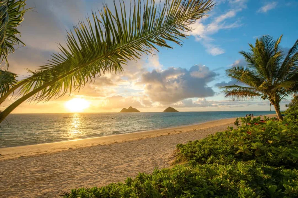 Palmboom aan een wit strand op Oahu met uitzicht op twee kleine rotseilandjes in zee tijdens een gouden zonsopgang