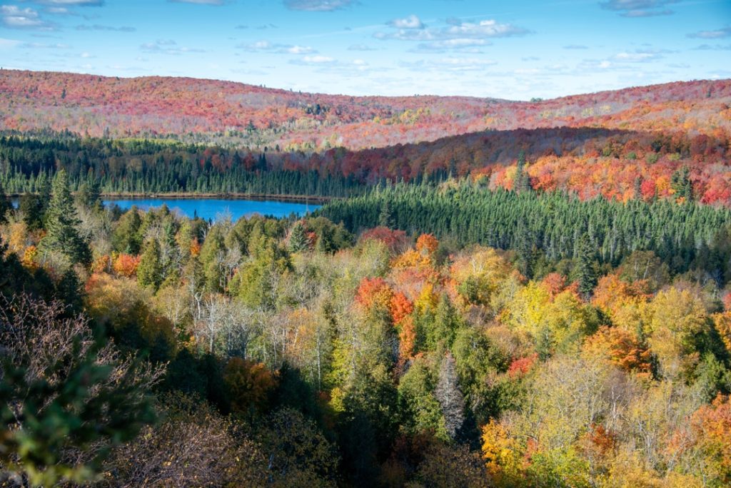 Uitzicht vanaf een heuvel over Oberg Lake, omringd door bos in felle oranje en gele herfstkleuren