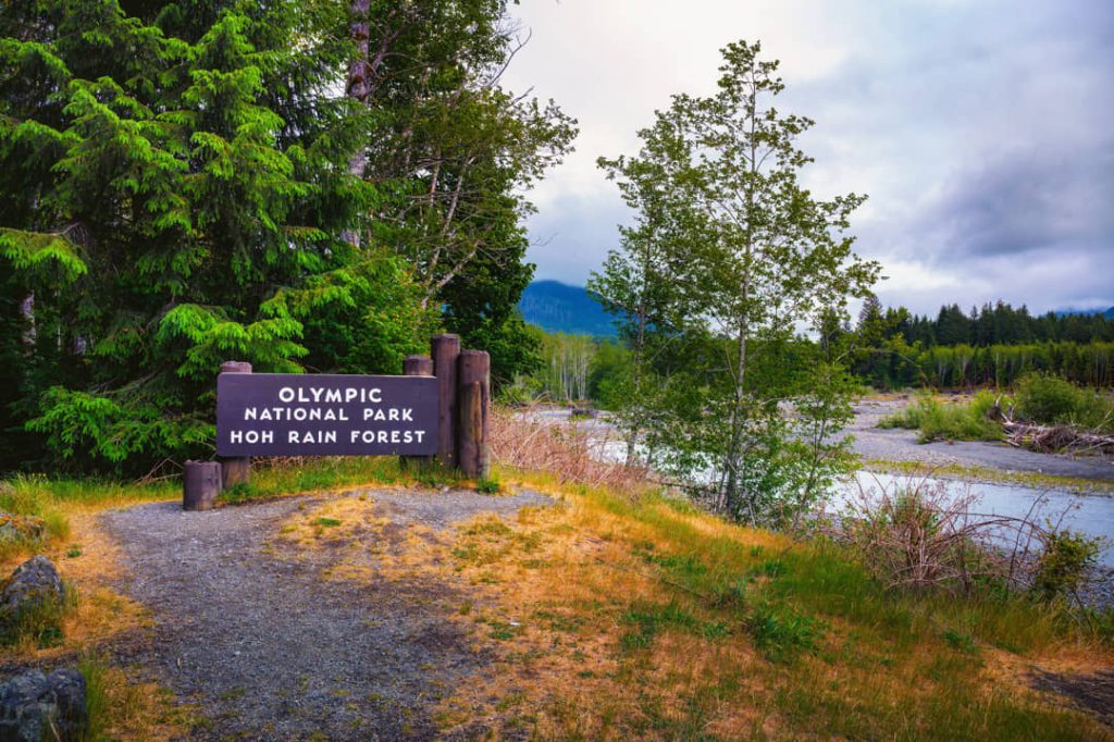 Houten informatiebord met de tekst Olympic National Park Hoh Rain Forest bij het begin van een wandelpad tussen bomen