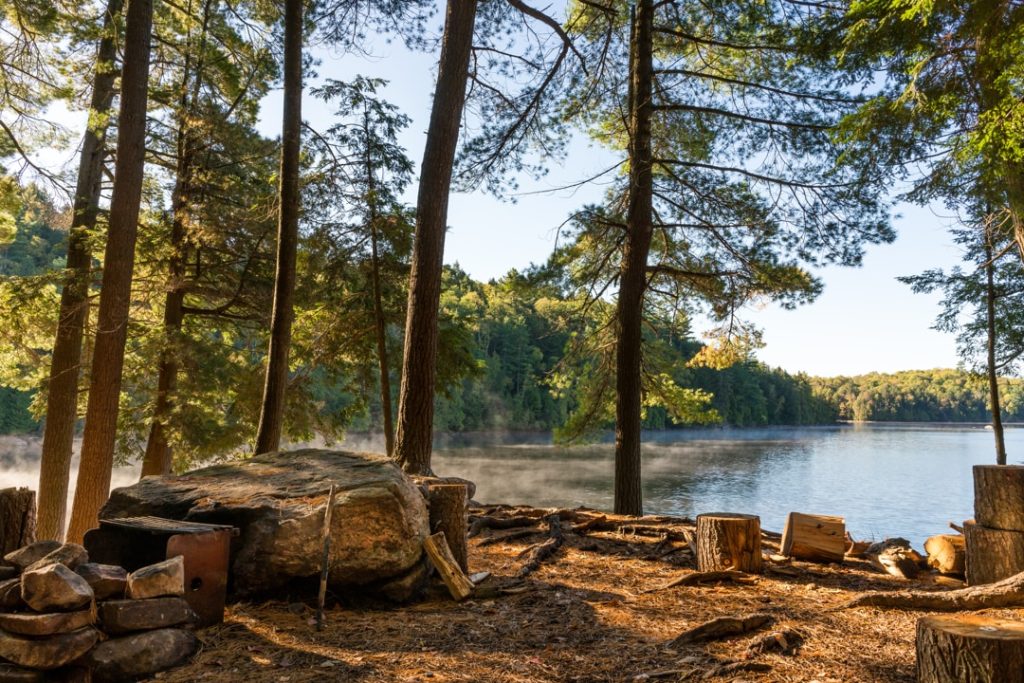 Vuurplaats met houtblokken tussen hoge bomen aan de oever van een meer waarboven lichte ochtendmist hangt