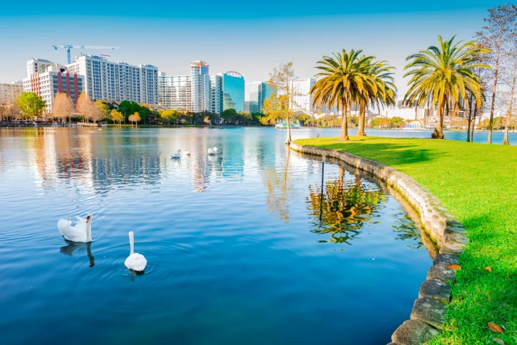 Twee witte zwanen zwemmen op het rustige water van Lake Eola Park in Orlando met palmbomen en wolkenkrabbers op de achtergrond