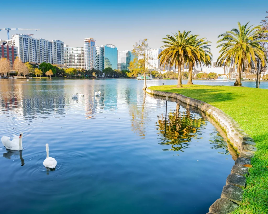 Twee zwanen zwemmen op het water van Lake Eola Park in Orlando met palmbomen, gras en wolkenkrabbers op de achtergrond