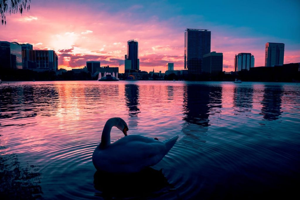 Silhouet van een zwaan op het rustige water van Lake Eola Park met de skyline van Orlando in een roze en blauwe avondlucht