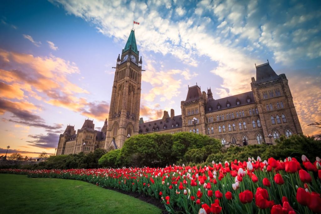 Het parlementsgebouw met de Peace Tower in Ottawa, gefotografeerd bij zonsondergang met een grote border rode en witte tulpen op de voorgrond