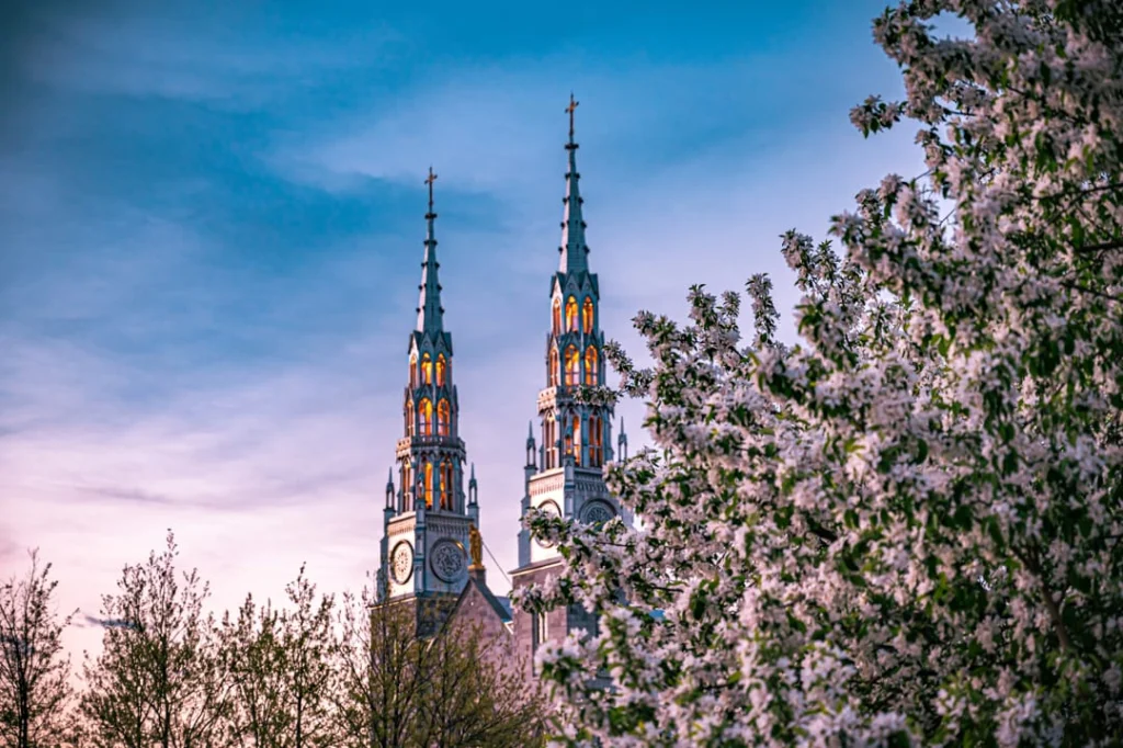 Twee spitse kerktorens met klokken tegen een blauwe lucht, omlijst door een boom vol roze en witte bloesem in Ottawa