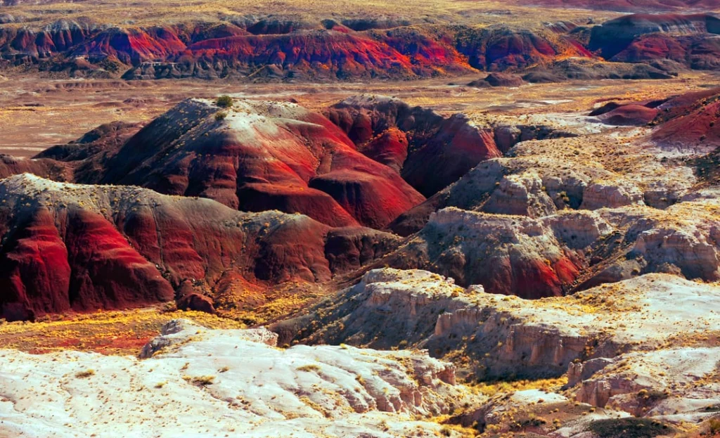 Golvend woestijnlandschap met roodgekleurde, gelaagde heuvels en verspreide struiken in de Painted Desert