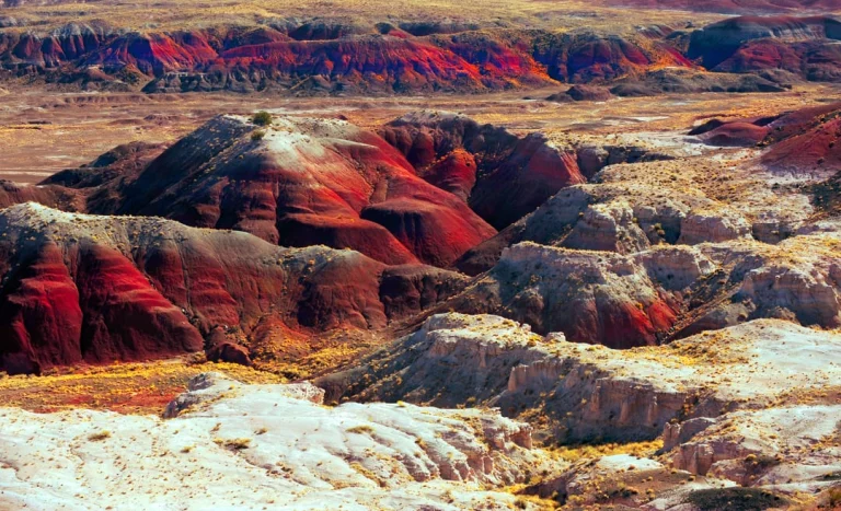 Golvend woestijnlandschap met roodgekleurde, gelaagde heuvels en verspreide struiken in de Painted Desert