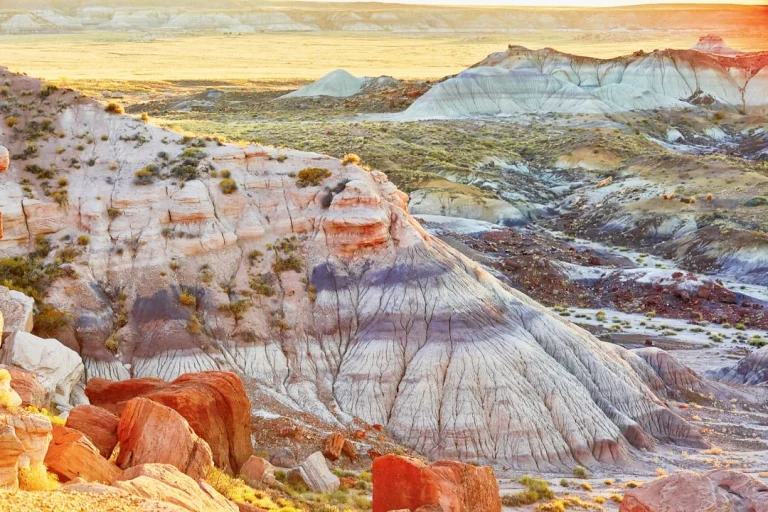 Erosielandschap met wit en oranjerood gestreepte heuvels en verspreide rotsblokken in de Painted Desert
