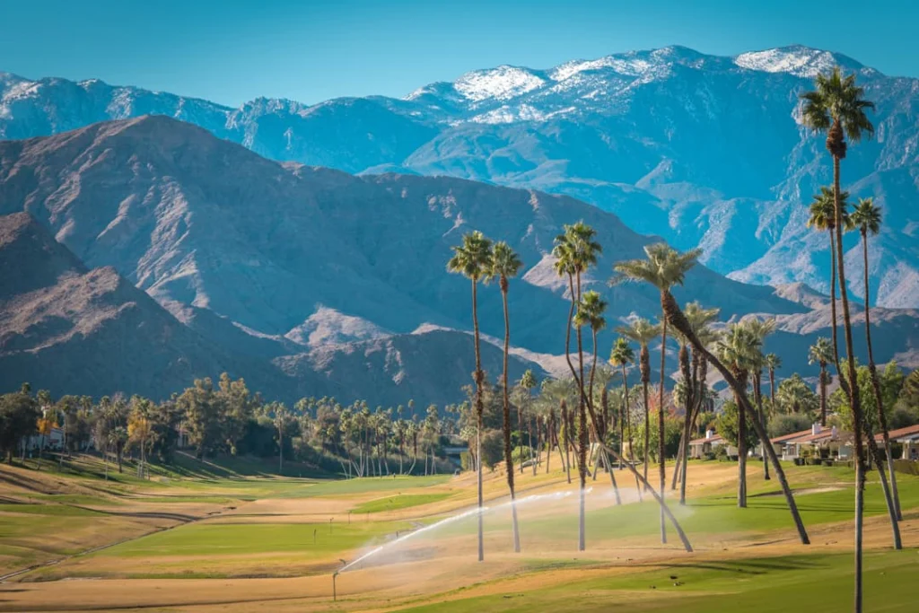 Grasveld van een golfbaan met hoge palmbomen en sproeiers, met een besneeuwde bergketen op de achtergrond bij Palm Desert