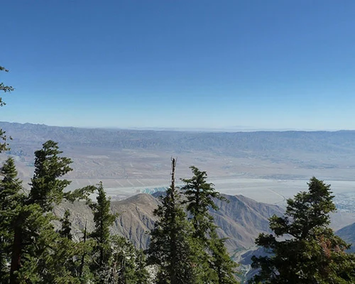 Uitzicht vanaf een dennenbos over een uitgestrekte woestijnvallei met bergen aan de horizon nabij Palm Springs