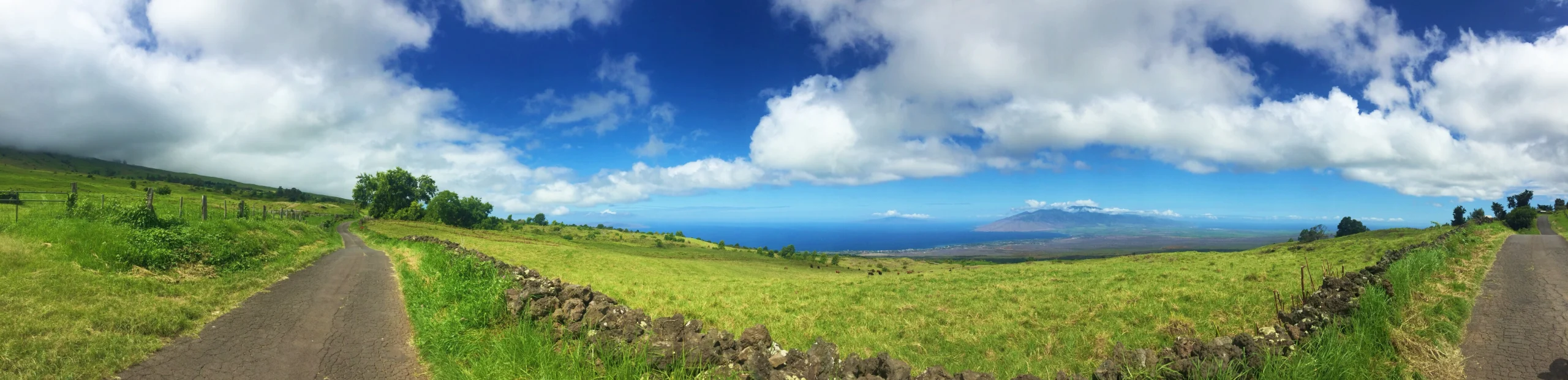 Maui