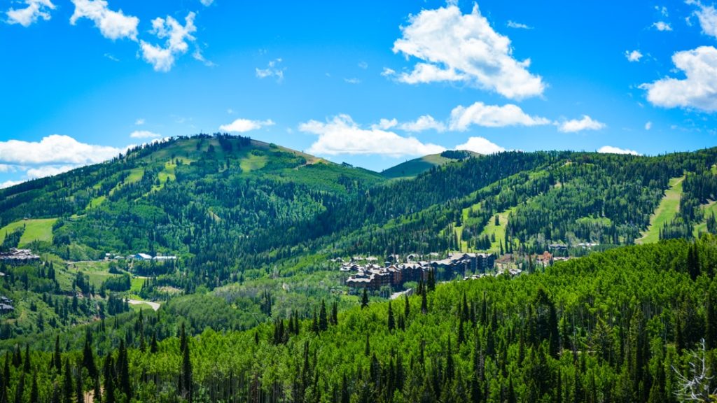Groene beboste berghellingen met skipistes en gebouwen van een skidorp in de vallei van Park City
