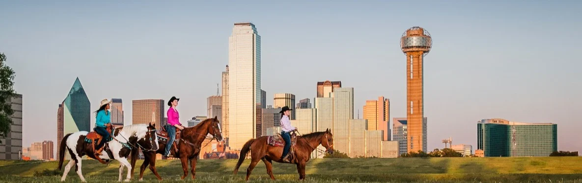 Fly Drive Dallas