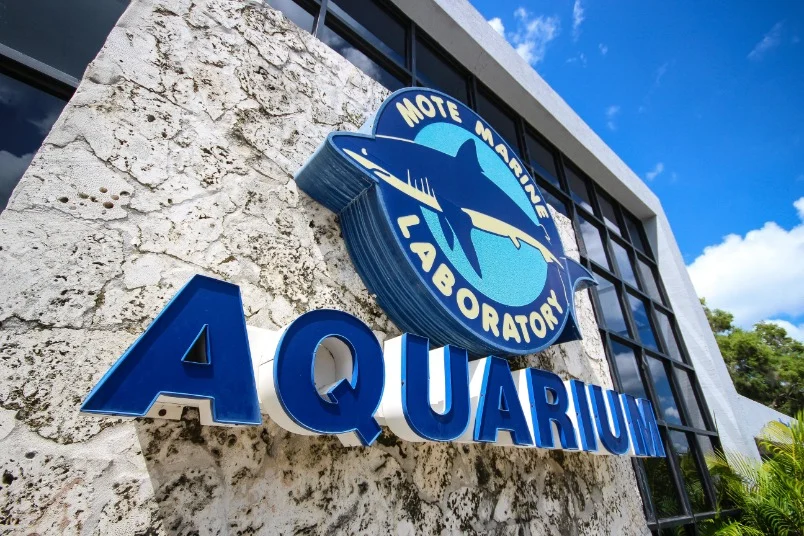 4. Mote Marine Laboratory and Aquarium
