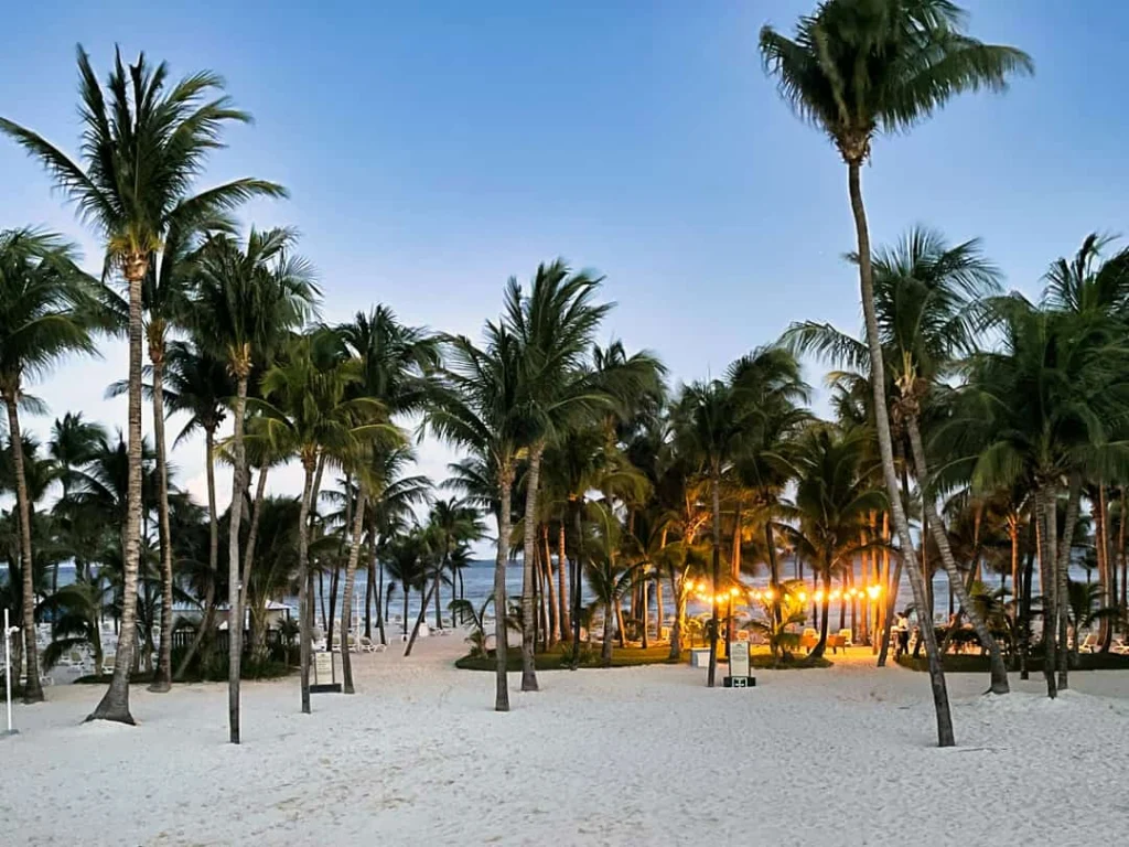 Hoge palmbomen op een wit strand met verlichte lantaarns en zicht op zee bij schemering in Playa del Carmen