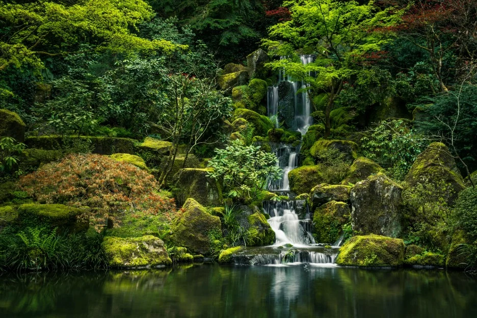 Een kleine waterval stroomt over met mos bedekte rotsen in een vijver, omringd door weelderig groen in de Japanse Tuin van Portland