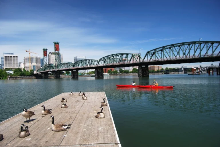 Groep ganzen rust op een houten steiger terwijl twee mensen in een rode kano peddelen op de rivier met een ijzeren brug en de skyline van Portland op de achtergrond